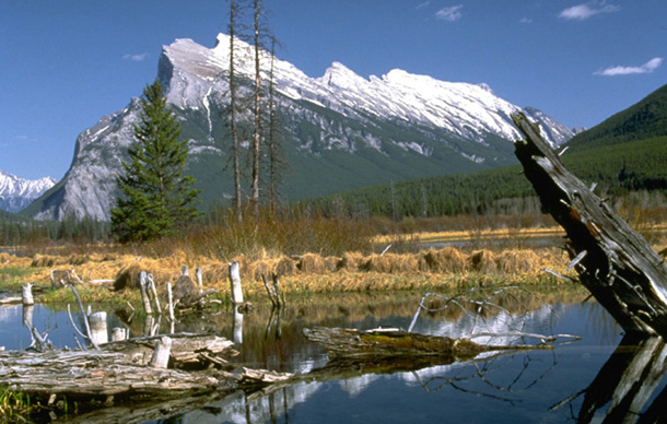 Mount Rundel in Banff Nationalpark